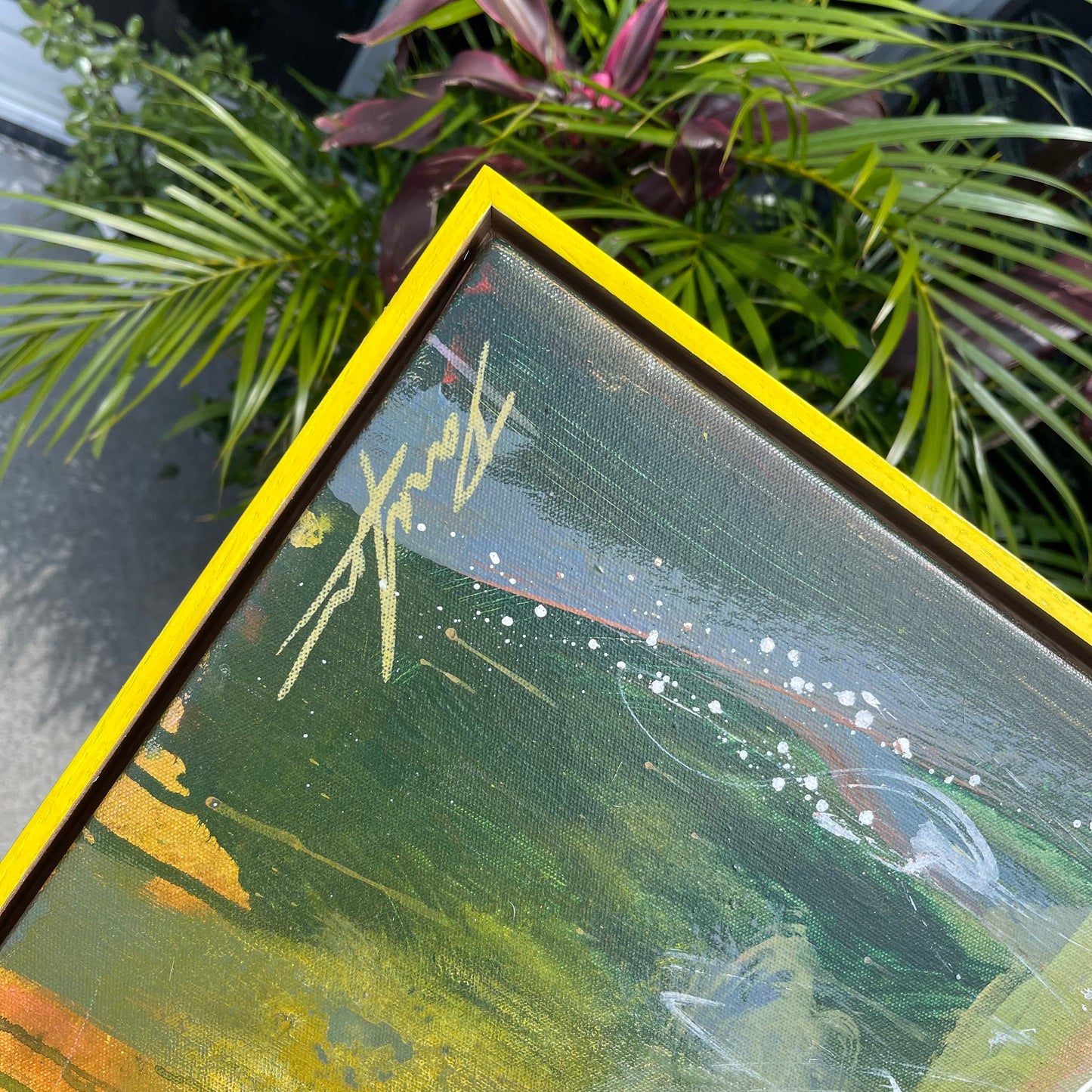 Wattle Dreams - 90cm x 90cm