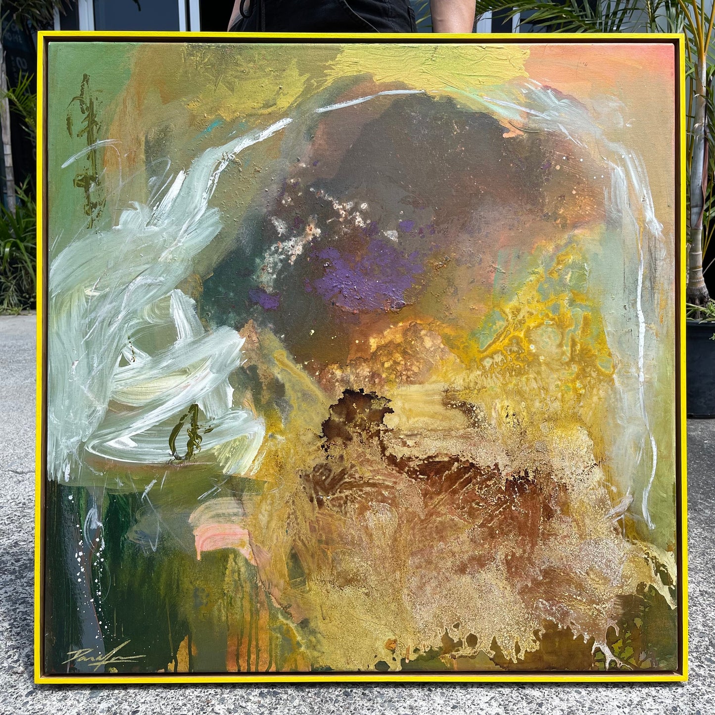 Wattle Dreams - 90cm x 90cm