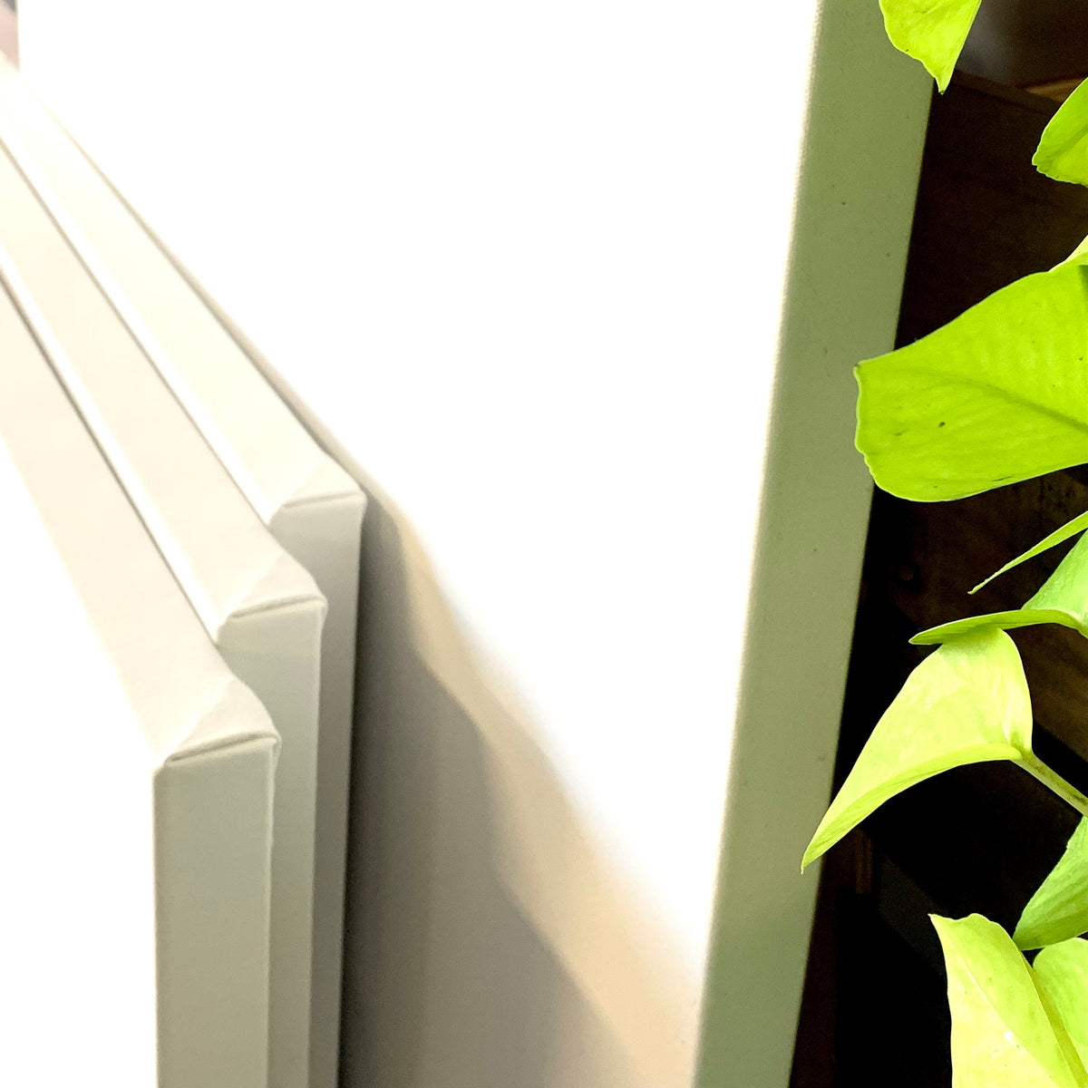 ARTIST CANVASES
